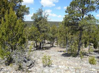 1730 Canyon Dr, Heber, AZ 85928