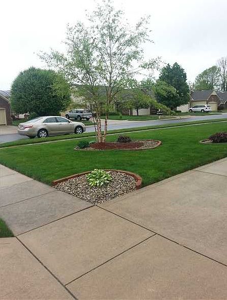 2nd image of 767 Ivy Ln