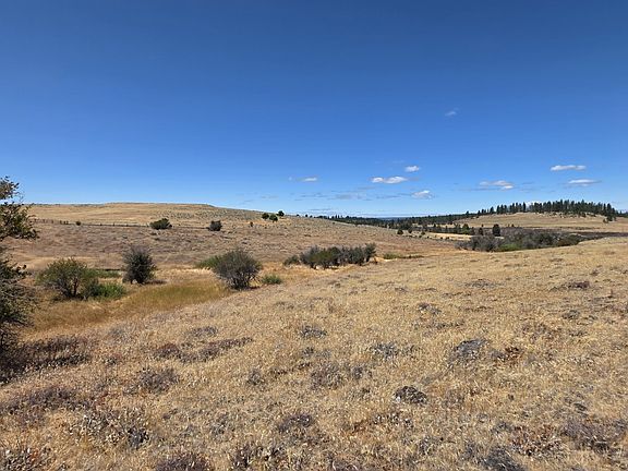 3rd image of Nka Olson Rd #3