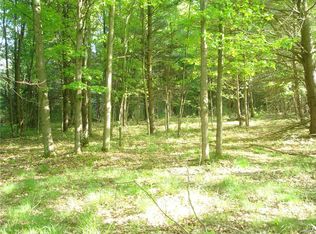 0 Berry Blvd, Alexandria, NY 13607