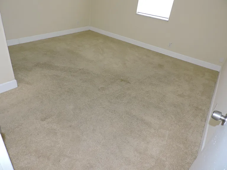 4529 Square Lake Dr — Photo 17