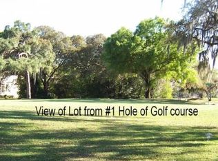 136 N Greenfield Ave, Temple Terrace, FL 33617