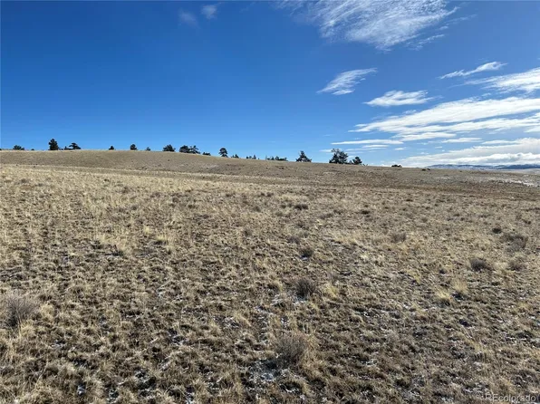 69 Buggy Court LOT 65, Hartsel, CO 80449
