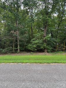 53 Tanglewood Dr, Bracey, VA, 23919