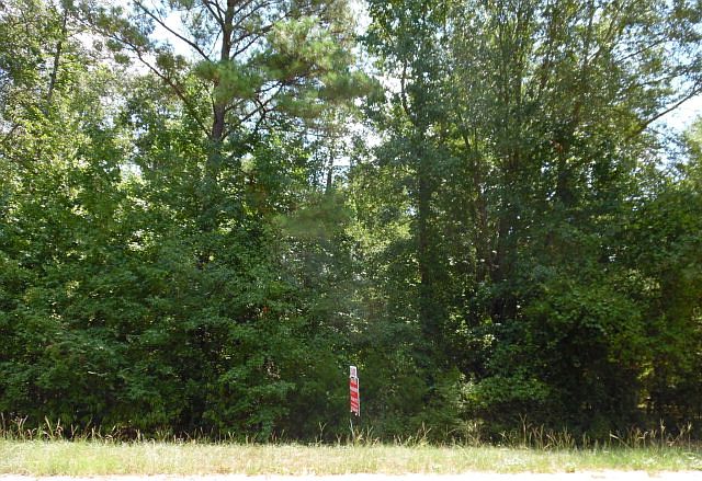 2nd image of 1423 Country Woods Ln