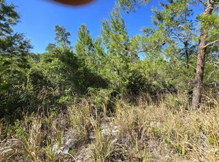 442 Parrot Ave, Sebring, FL 33870