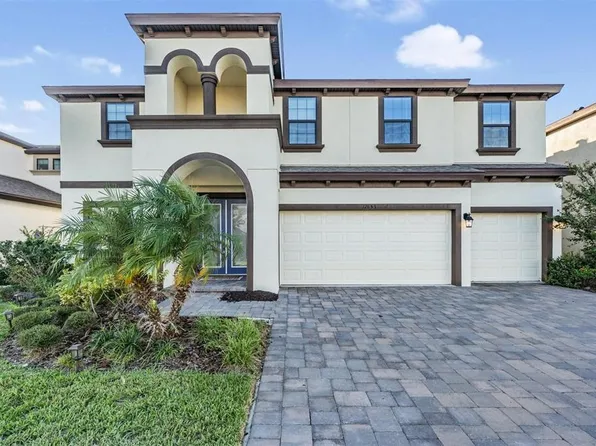 12853 Satin Lily Dr, Riverview, FL 33579
