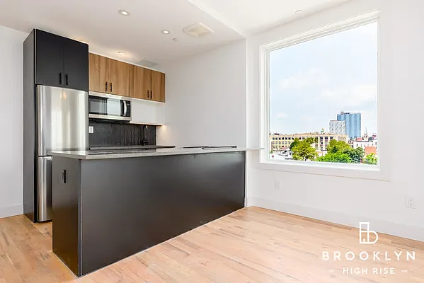 Rented by Brooklyn High Rise LLC | media 22