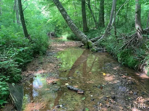 0 Little Bear Ln, Spout Spring, VA 24593