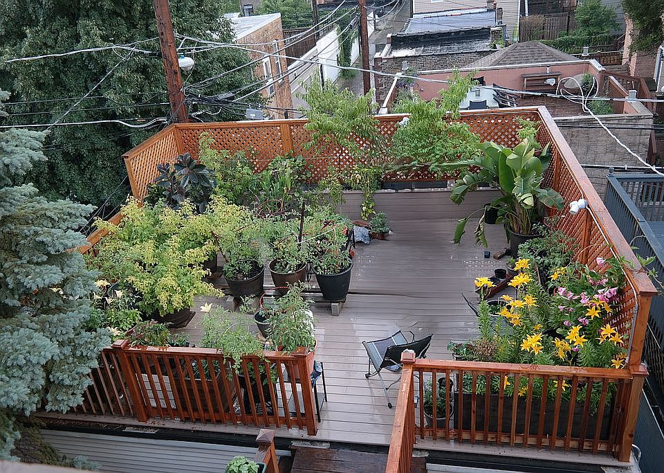 Back Deck