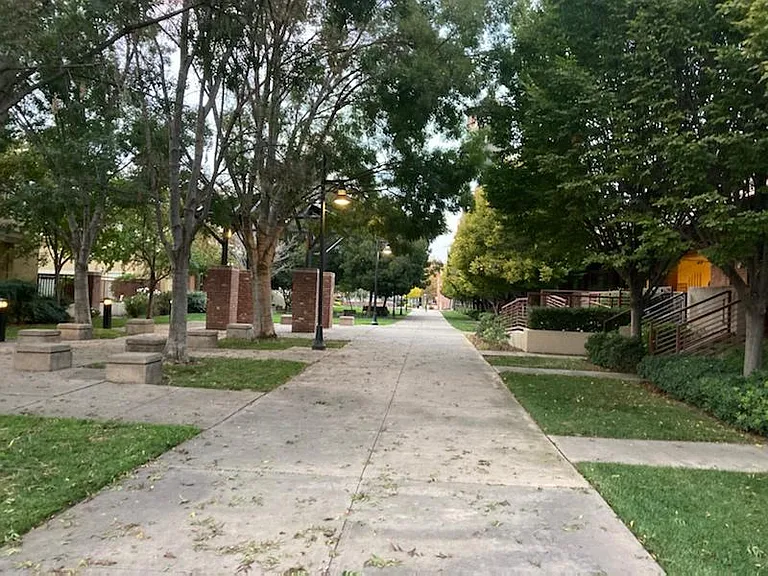 596 Manzana Pl — Photo 43