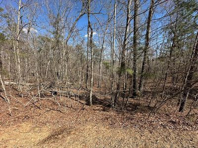 33 N Harris Creek Dr, Ellijay, GA, 30540