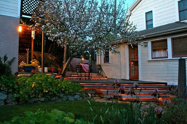 Back yard