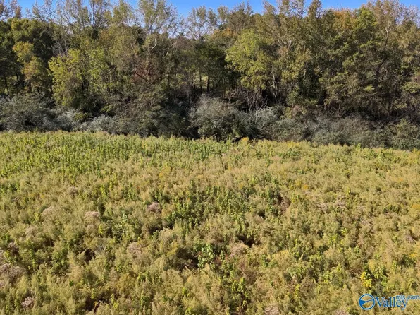 Murphee Rd, Eva, AL 35621