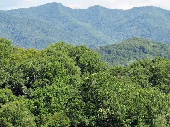 TBD Little Laurel Road, Creston, NC 28615