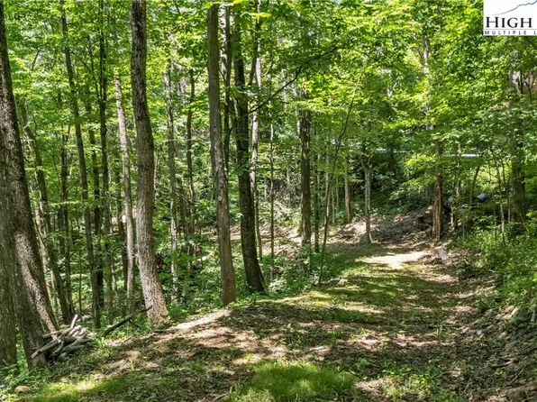 TBD Longhope Road, Todd, NC 28684