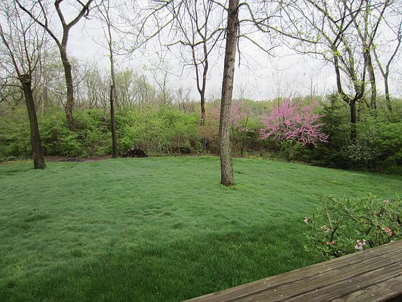 Private back yard