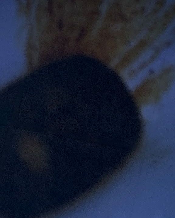 2nd image of 330 Covert Ave