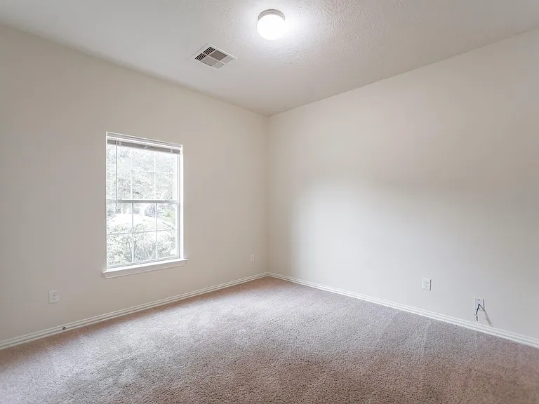 25531 Forest Springs Lake — Photo 38