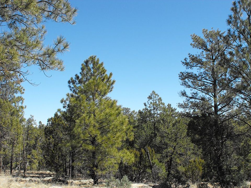 1st image of 4435 Twin Oaks Loop