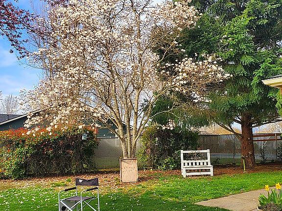 Front yard