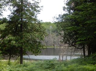 0000 Dollar Drive, Curran, MI 48728