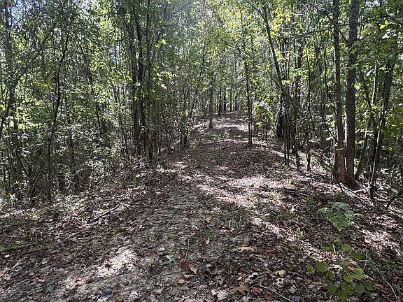 4th image of 0 Chapel Hill Rd