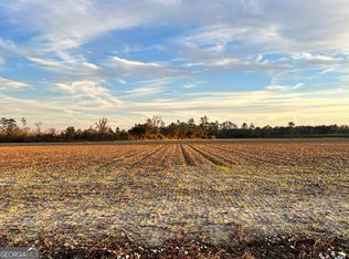 0 Pw Clifton Rd #P, Brooklet, GA 30415