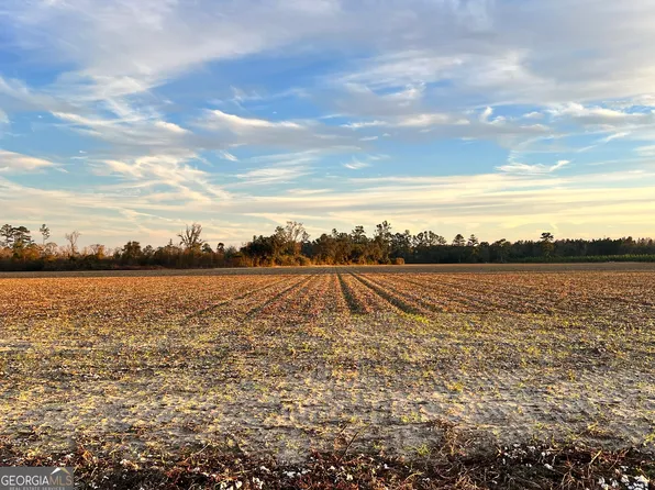 0 Pw Clifton Rd #P, Brooklet, GA 30415