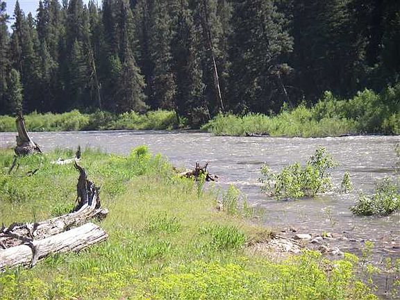 3rd image of LOT 4 Amended Elk Valley