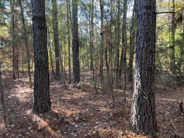 0 County Road 4105, Daingerfield, TX 75638