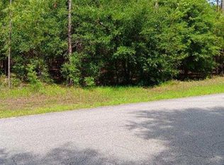 0 SW 206th Court Rd #46, Dunnellon, FL 34431