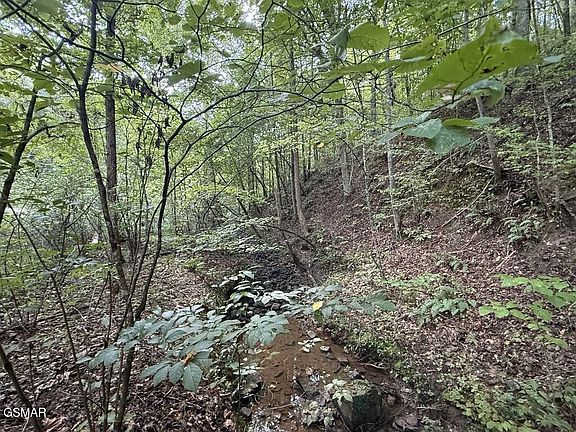 4th image of 1314 Speedwell Church Rd Lot 13-14