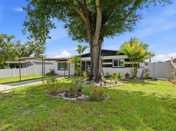 6206 N Hale Ave, Tampa, FL 33614