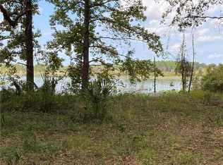 14060 NE 150th Ave, Fort Mc Coy, FL 32134