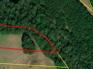 LOT 1 Pine Ridge Rd LOT 1, Faison, NC 28341