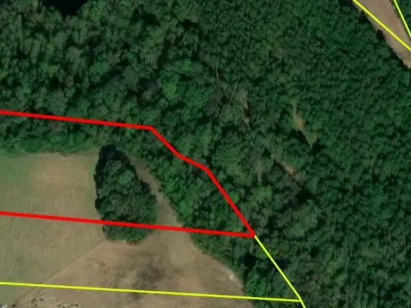 LOT 1 Pine Ridge Rd Lot 1, Faison, NC 28341