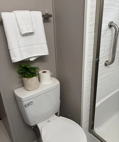 Master bath - New toilet and fixtures