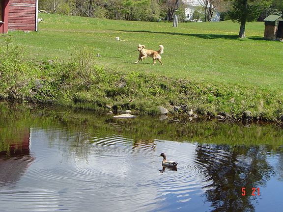 2nd image of 199 County Highway 111