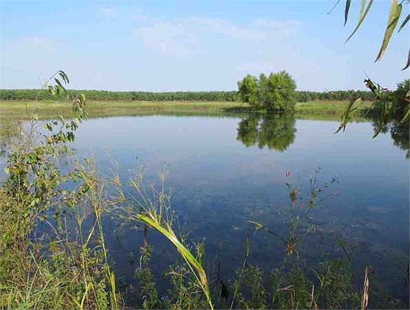 1st image of 551 County Road 3317