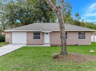 3 Zephyr Lily Pl, Palm Coast, FL 32164