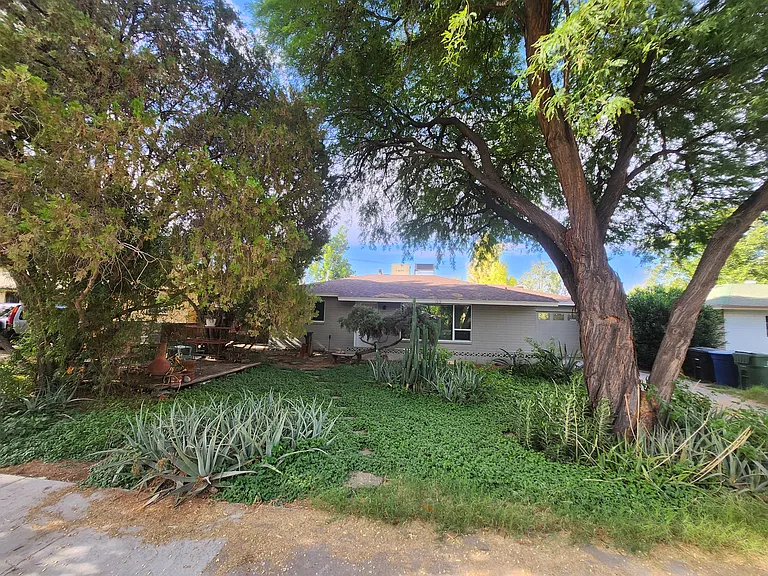 1519 E Cedar St — Photo 26