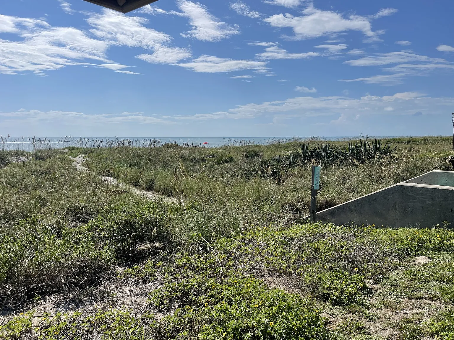 1 bed, 1.0 bath, $1,500 — Photo 4