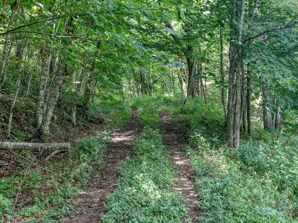 0 Vista View Dr, Roan Mountain, TN 37687