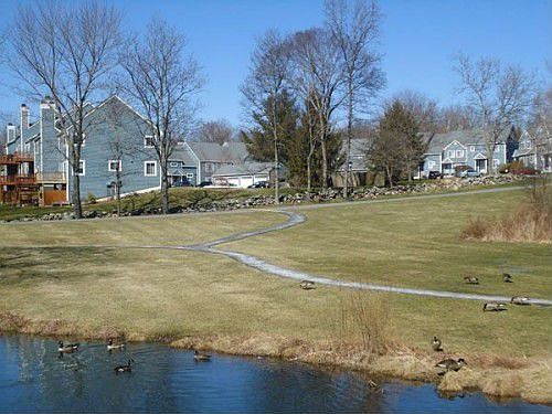5th image of 703 Essex Ct