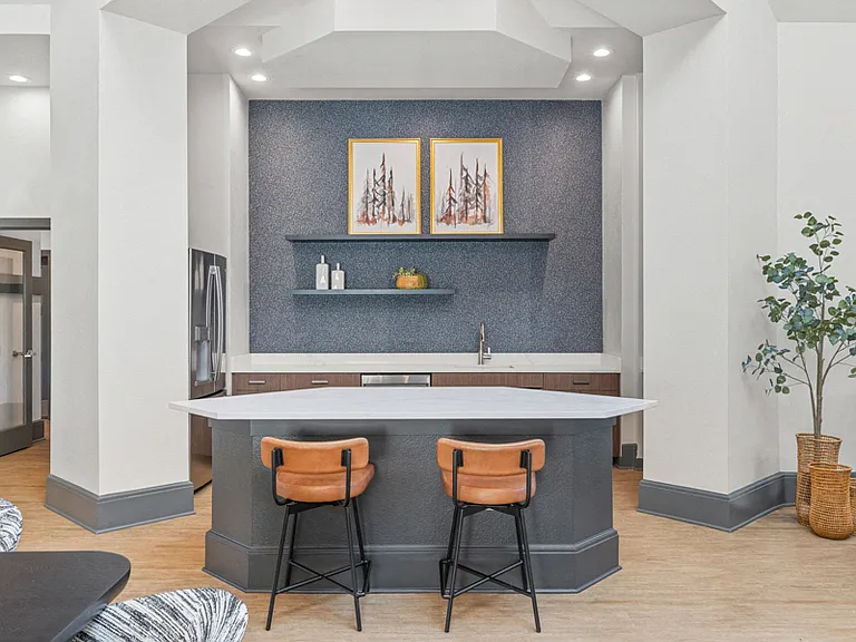 Entertainment Kitchen