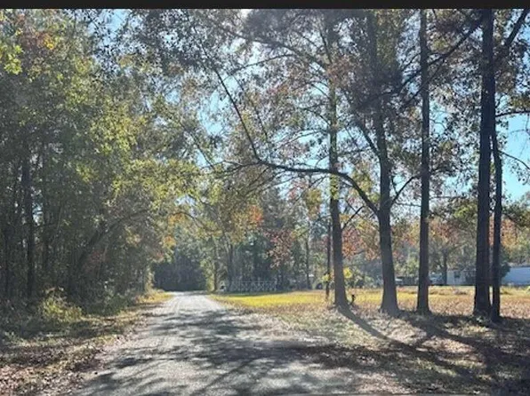 0 Park Cir, Branchville, SC 29432