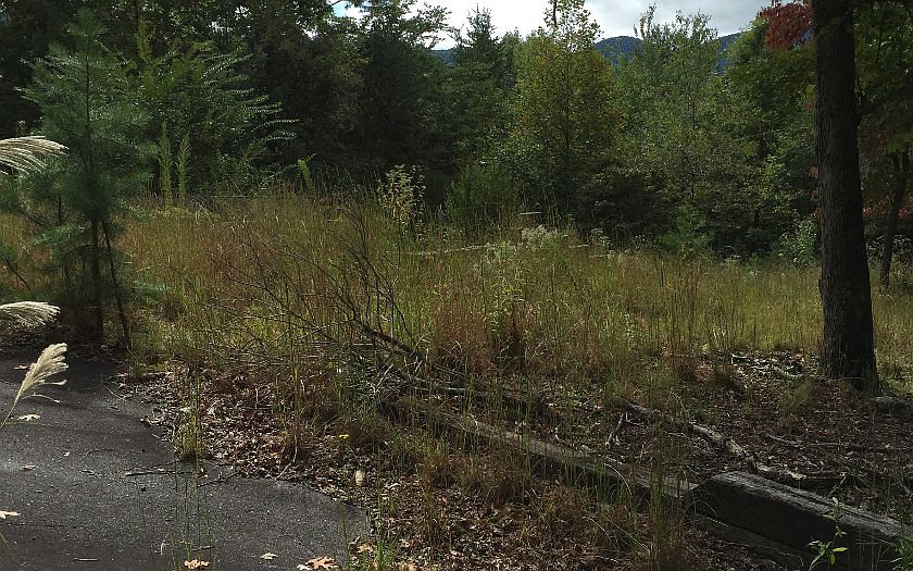 2nd image of 3064 Lost Forest Rd