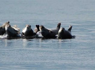 59 Crane Neck Rd, East Setauket, NY 11733