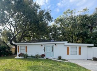 1911 E Jean St, Tampa, FL 33610